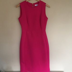Calvin Klein Dress SIZE 4